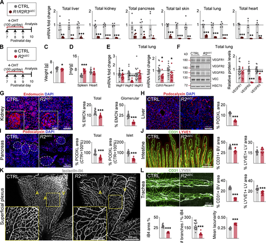 Figure 1. Refer to the image caption for details.