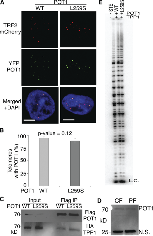 Figure 3. Refer to the image caption for details.