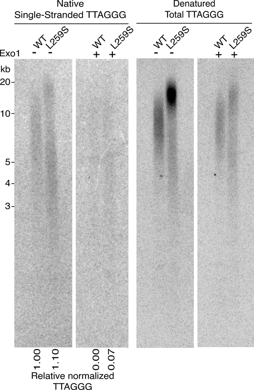 Figure 6. Refer to the image caption for details.