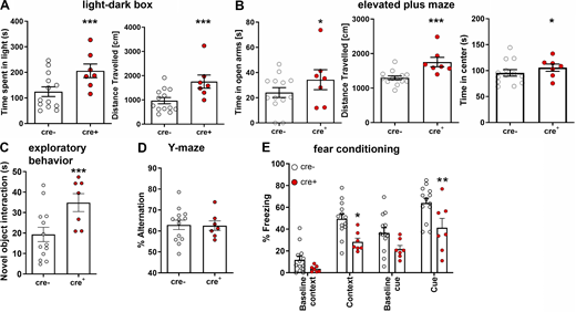 Neuronal IL-4R deficiency results in altered neuronal networks and behavioral deficits. (A) Behavioral analysis of 9- to 19-wk-old male il4rafl/fl.Syn cre mice (cre+n = 7, cre−n = 13, littermates, representative data from two independent experiments) shows increased distance traveled in (A) light–dark box, where cre+ mice also spent more time in the light. (B) Elevated plus maze also revealed more visits to the open arms as well as longer distance traveled and increased time spent in the center of the maze. (C) Exploratory behavior increased, judged by increased exploration of a novel object. (D) In Y-maze, mice did not show a difference in spontaneous alternation. (E) Fear conditioning shows decreased contextual as well as cue-dependent learning. Plots depict mean ± SEM, individual data points are provided. Statistics: (A–D) Bayesian analysis, accuracy, * >80%, ** >90%, *** >95% (see Data S1); (E) two-way ANOVA, * P < 0.05, ** P < 0.01. Refer to the image caption for details.