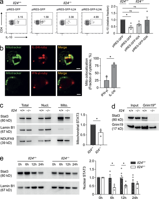 Figure 6. Refer to the image caption for details.