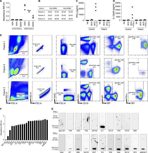 Isolation and generation of pathogenic monoclonal AIGAs from patients underlying mycobacterial diseases. (A) Identification of AIGAs in patient plasma (n = 3) by ELISA. Bar graph of antibody binding to IFN-γ (2 μg/ml) in several dilutions of plasma (100×, 500×, and 2,500×). Each dot corresponds to a donor. (B) HLA-DRB1 and -DQB1 alleles in recruited patients with AIGAs. (C and D) Evaluation of the biological function of AIGAs from three recruited patients. (C) Amount of IFN-γ detected in whole-blood activation assays (NA, BCG, and BCG + 20 ng/ml IL-12) on blood samples from the corresponding donors. Each dot corresponds to a donor. (D) Amount of IL-12p40 detected in whole-blood activation assays (NA, BCG, and BCG + 250 ng/ml IFN-γ) on blood from the corresponding donors. Each dot corresponds to a donor. (E) Isolation of single IFN-γ–specific IgG+CD19+ B cells from patients with mycobacterial disease. Representative flow cytometry plots showing the gating strategy for human IFN-γ–specific B cells from the PBMCs from three patients. Black boxes indicate each successive gate used. Lymphocytes, identified on the basis of forward and side scatter (FSC and SSC), were further analyzed by FSC-A vs. FSC-H comparisons and with 7-aminoactinomycin D staining to eliminate doublets and dead cells. CD19+CD3− cells were then selected, followed by IgG+IgD− cells, to obtain enrichment in specific B cells binding to IFN-γ, which were stained with a FITC-conjugated antibody. IFN-γ+ cells were then sorted from IgG+ subsets. (F) Bar graph showing the reactivity of the 19 monoclonal AIGAs and AMG811 (1 μg/ml) with recombinant human IFN-γ (2 μg/ml), as determined by ELISA. The results are shown as the mean and SD for two independent experiments. (G) Western blot showing the reactivity of 19 monoclonal AIGAs, AMG811, and control IgG (ctrl.; 1 μg/ml) with the recombinant human IFN-γ protein (300 ng/well). The experiments were performed twice, independently. Source data are available for this figure: SourceData FS1.