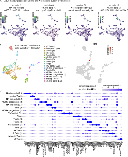Transcriptional characterization of marrow NK-like and T cell subpopulations. (A) UMAP visualizations of gene modules enriched across NK-like populations in the progenitor, DC-like cell, and NK-like cell marrow subset. (B) UMAP visualization of 1,533 T and NK-like cells as subsetted, re-integrated, and clustered from the larger marrow UMAP in Fig. 4 A. Cell type annotations were based on differential expression analysis as determined by Wilcoxon rank sum test in Seurat (Table S13). (C) UMAP visualization highlighting rorc+ T cells, too small a population to be resolved as an independent cluster, but nevertheless demonstrating clear heterogeneity. (D) Dot plot of selected markers differentially expressed across T and NK-like cell populations. Dot size reflects the percentage of cells within a population expressing a given marker and dot color shows the average expression within that population. Refer to the image caption for details.