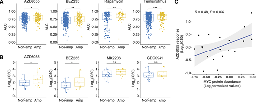 Association between MYC status and mTORi response in human cancer cell lines. (A and B) Comparisons of mTORi responses of cancer cell lines with and without MYC amplifications. In A, AUC values and MYC amplification status were obtained from the cBioPortal database (Gao et al., 2013). A total of 1,010 cell lines were analyzed (MYC amplification, n = 209; MYC non-amplified, n = 801). In B, IC50 values and MYC amplification status were obtained from a previously published breast cancer cell line dataset (Jastrzebski et al., 2018). Data are represented as median ± IQR (box) and quartiles ± 1.5 × IQR (whiskers) and P values were computed with one-tailed Student’s t tests (*P < 0.05; **P < 0.01; ***P < 0.001; n.s, not significant; P = 0.04, 0.04, 0.06, and 0.25 for AZD8055, BEZ235, MK2206, and GDC0941, respectively). A total of 30 cell lines were analyzed (MYC amplification, n = 11; MYC non-amplified, n = 19). (C) Correlation between AZD8055 response and MYC protein abundance in 20 human breast cancer cell lines. P value was calculated with two-tailed t-transformation of Pearson’s correlation coefficient. IC50 values were obtained from the GDSC database (Yang et al., 2013) and MYC protein levels, as measured by MS, were obtained from the CCLE database (Barretina et al., 2012). Source data are available for this figure: SourceData F4.