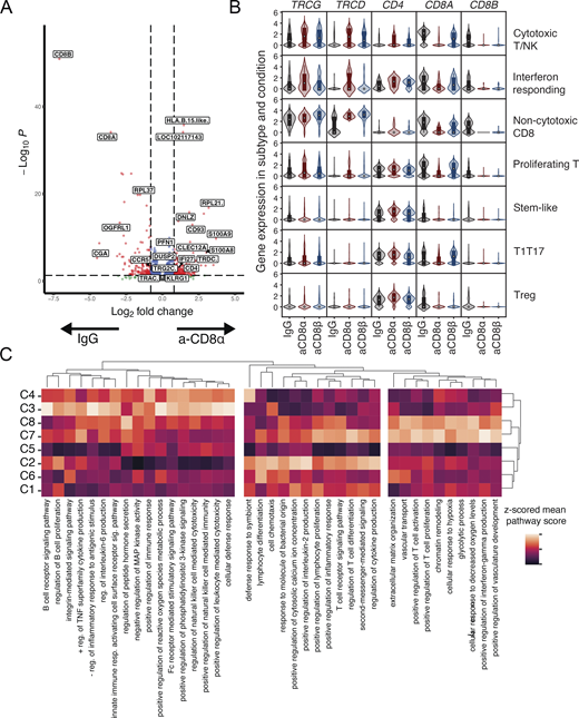 NK/T treatment differential expression. (A) Volcano plot depicting differentially expressed genes within cytotoxic NK/T cells between granulomas in the anti-CD8a depletion group (right) compared with control (left). (B) Violin plots depicting single-cell expression of key lineage genes, TRGC, TRDC, CD4, CD8A, and CD8B, within each general NK/T subcluster (rows) split by each depletion group (violin colors). (C) Select GO results of moonlighting pair marker genes. Mean gene set scores for top GO pathway hits for each cytotoxic moonlighting pair were z-scored across cytotoxic subsets and then hierarchically clustered. Full GO analysis in Table S9.