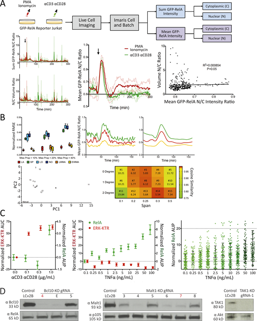 Figure S1. Refer to the image caption for details.