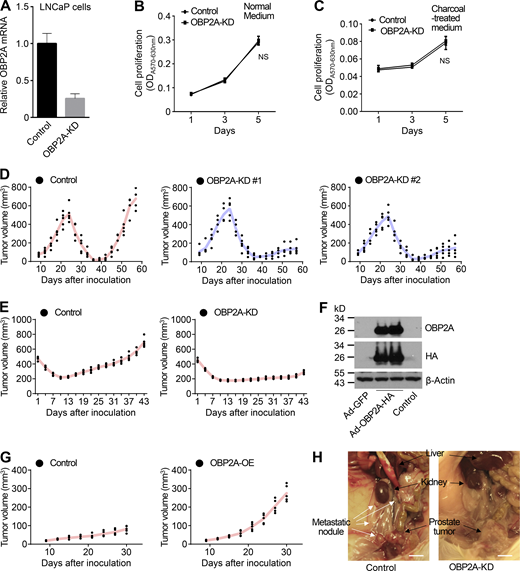 Figure S2. Refer to the image caption for details.