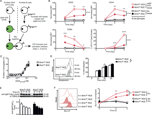 Figure 5. Refer to the image caption for details.