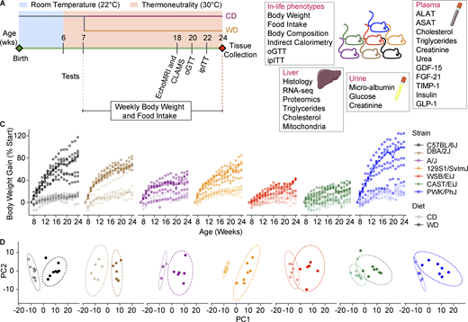 肝臓と腎臓の疾患をモデル化する(Modeling liver and kidney disease) 肝臓と腎臓の疾患をモデル化する(Modeling liver and kidney disease)