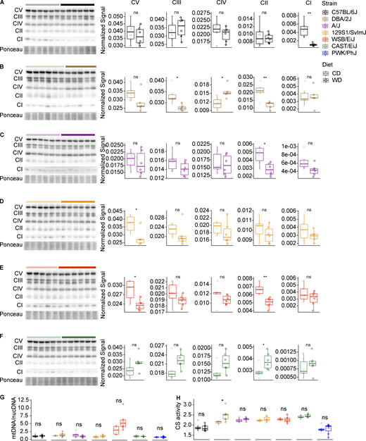 Figure S4. Refer to the image caption for details.