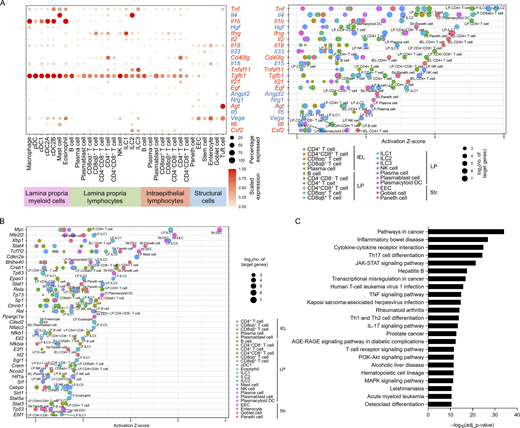 Analysis of upstream regulators uncovers a distinct intestine signalome in response to the HFHS diet. (A and B) IPA of HFHS immune and non-immune populations showing common upstream regulators. Terms were considered common if implicated in 10 or more cell types from a lineage (Tables S8, S9, and S10). Terms were considered statistically significant if the activation z-score >2. (A) Dot plots showing expression of common secreted upstream regulators from HFHS diet intestinal cells (left) and the putative regulated cell types (right) as suggested by IPA. Color saturation in dot indicates the strength of expression in specific cell type, whereas dot size reflects the percentage of cells in each population expressing the gene (left). The color indicates the implicated cell type, whereas dot size reflects the number of genes downstream of the suggested secreted upstream regulator. Red-highlighted upstream regulators denote those that have been associated with obesity or metabolic dysfunction. Blue-highlighted upstream regulators denote those that have been associated with immune homeostasis or obesity resistance. (B) Dot plot showing common transcriptional signaling upstream regulators. The color indicates the implicated cell type, whereas dot size reflects the number of genes downstream of the suggested signaling upstream regulator. IEL, intraepithelial lymphocyte; LP, lamina propria; Str., structural cells. (C) Top differentially regulated signaling pathways in response to HFHS diet suggested in g:GOSt functional enrichment analysis of common upstream regulators. Upstream regulators were considered common if implicated in 10 or more cell types from a lineage. Terms with −log10 (adjusted P value) >10 were shown.
