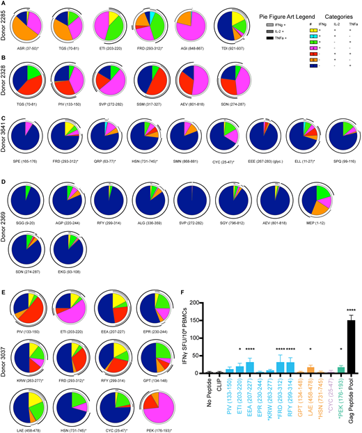 Polyfunctionality of CD4+T cell responses in PLWH to peptides derived from cell-free processing and IFNγ ELISPOT validation for Donor 3037. (A–E) CD4+ T cell cytokine secretion from DR1*01:01 PLWH was analyzed from Donors (A) 2285, (B) 2328, (C) 3641, (D) 2369, and (E) 3037 in response to peptides derived from cell-free processing. Peptides are listed as in Table S4, with asterisks denoting control peptides identified in the literature. Double-positive cells were those that produced two cytokines. Double positive cells were calculated by the following strategies: (a) IL-2+TNFα+: Lymphocytes→ Single Cells→ Live+CD3+→ CD3+CD4+→ TNFα+ → IL-2+, and the percentage of IL-2+ cells was multiplied by the percentage of TNFα+ cells from the parent gate; (b) IFNγ+TNFα+: Lymphocytes→ Single Cells→ Live+ CD3+→ CD3+CD4+→ TNFα+→ IFNγ+, and the percentage of IFNγ+ cells were multiplied by the percentage of TNFα+ cells from the parent gate; (c) IL-2+IFNγ+ Lymphocytes→ Single Cells→ Live+CD3+→ CD3+CD4+→ IL-2+ IFNγ+ → TNFα−, and the percentage of TNFα− cells were multiplied by the percentage of IL-2+ IFNγ+ cells from the parent gate. Single-positive populations were calculated by the following: (a) IL-2+: Lymphocytes→ Single Cells→ Live+CD3+→ CD3+ CD4+ → TNFα− → IL-2+ IFNγ−, and the percentage of IL-2+ IFNγ− cells were multiplied by the percentage of TNFα− cells from the parent gate; (b) IFNγ+: Lymphocytes→ Single Cells→ Live+CD3+→ CD3+ CD4+ → TNFα−→ IL-2− IFNγ+, and the percentage of IL-2− IFNγ+ cells were multiplied by the percentage of TNFα- cells from the parent gate; (c) TNFα+: Lymphocytes→ Single Cells→ Live+CD3+→ CD3+ CD4+ → TNFα+ → IL-2−IFNγ−, and the percentage of IL-2− IFNγ− cells were multiplied by the percentage of TNFα+ cells from the parent gate. Data gated in this manner was analyzed by SPICE and represented as pie charts in A–E. Responses depicted are to those peptides that induced CD4+ T cell cytokine responses that were 2.95-fold greater than the response to CLIP. Activation after stimulation in A–E was measured in single determinations. (F) IFNγ ELISPOT from Donor 3037 with data shown as spot forming units (SFU) per million PBMCs. Peptides utilized were those shown in E. Responses to negative controls (no peptide, CLIP) and positive control (Gag peptide pool) are shown as comparators, with six replicate wells run for each condition. Data represents two independent experiments. Significance difference relative to CLIP determined by one-way ANOVA with Dunnett’s test for multiple comparisons, *P < 0.05, ****P < 0.0001. Refer to the image caption for details.