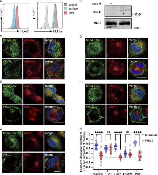 Figure S1. Refer to the image caption for details.
