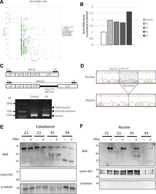 Figure S1. Refer to the image caption for details.