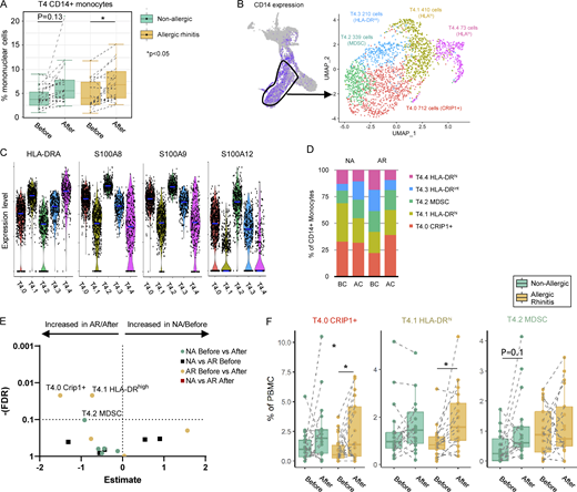 Subclustering monocyte populations. (A) Box plot of frequency of CD14+ monocytes (cluster T4) in allergic (orange boxes) and non-allergic individuals (green boxes) before and after allergen challenge in the transcriptomic data. *P < 0.05. (B) CD14+ monocytes (T4) were subclustered, revealing five subclusters. Total cell number and distinguishing marker per subcluster depicted in the plot. (C) Violin plot of HLA-DR and S100 protein expression by different CD14+ monocyte subclusters. (D) Percentage of CD14+ monocytes subclusters by study group. (E) Volcano plot of cluster frequencies between different study groups/conditions. (F) Boxplots of cluster frequencies for clusters showing significant differences. *P < 0.05 as determined by GLMM with FDR correction on samples obtained from 18 non-allergic controls and 21 AR patients analyzed in five runs (also see Fig. S5 A; and Table S7, S8, and S9).