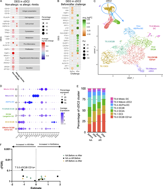 cDC2 transcriptomic analysis. (A) Dot plot of DEGs in cDC2 cells (Cluster T5) between before and after allergen challenge for allergic (AR) and non-allergic (NA) individuals. Color intensity represents log fold change (with 0.2 cutoff). (B) Dot plot of DEGs in cDC2 cells (Cluster T5) between allergic (AR) and non-allergic (NA) individuals, before and after allergen challenge. Orange represents gene expression higher in allergic individuals, green represents gene expression higher in non-allergic individuals, and color intensity represents log-fold change. Size of the dot represents the percentage of cells in which the genes are expressed. (C) Subclustering cDC2 cluster T5 revealed seven subclusters. Total cell number and distinguishing marker per subcluster are depicted in the plot. (D) Dot plot of average expression and percentage of cells expressing marker genes of established cell types. (E) Percentage of cDC2 subclusters by study group. (F) Volcano plot of cluster frequencies between different study groups. P values were obtained by GLMM with FDR correction as determined by GLMM with FDR correction samples obtained from 18 NA controls and 21 AR patients analyzed in five runs (also see Fig. S5 A; and Tables S7, S8, and S9).