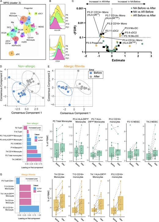 Subclustering proteomic data and integration of proteomic and transcriptomic data. (A) Subclustering of MPS (P3; monocytes and P4; DC/MP) cells in proteomic data. (B) HLA-DR and CD14 expression of subclusters P4, P7 (both CD14+ Monocyte), P5 (progenitor), P10, and P21 (both MDSC). (C) Volcano plot of cluster frequencies between different study groups/conditions. (D and E) Integration of cluster frequencies as determined from transcriptomic and proteomic data using MixOmics allowed separation of samples obtained before/after challenge for both non-allergic controls and AR patients. (F) Loadings of the first component separating non-allergic control samples before/after challenge show which cell (subclusters) allow differentiation between time points with boxplots of the respective (sub)clusters. (G) Loadings of the first component separating AR patient samples before/after the challenge show which cell (subclusters) allow differentiation between time points with boxplots of the respective (sub)clusters. P values as determined by GLMM with FDR correction on 14 non-allergic controls and 14 AR patients analyzed fresh (A–C) or on 12 non-allergic controls and 12 AR patients (D–G) analyzed in 5 runs (also see Fig. S5 A; and Tables S7, S8, S9, and S10).