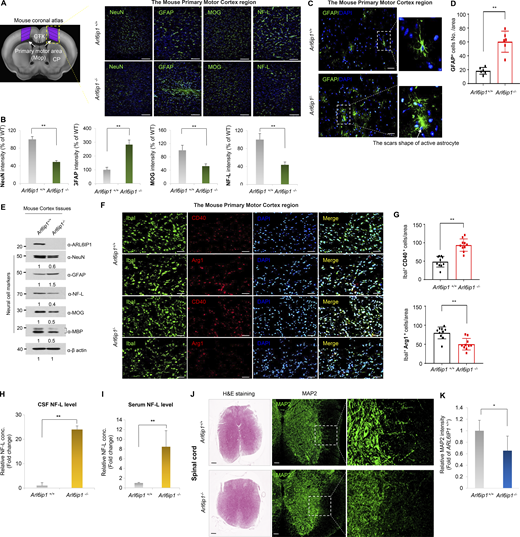 Figure S2. Refer to the image caption for details.