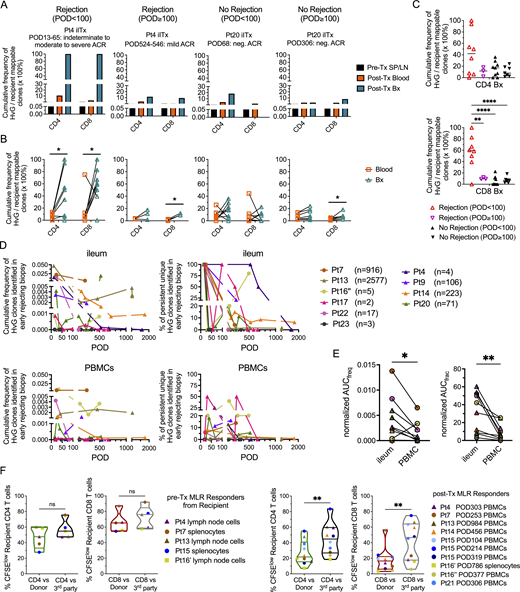Expansion and persistence of HvG clones in intestinal allograft and peripheral blood over time, and hyporesponsiveness to donor antigens among post-Tx recipient T cells. (A) Cumulative frequency as a percentage of HvG clones among recipient mappable clones in pre-Tx recipient spleen (SP) or lymph nodes (LN), and post-Tx blood and ileum biopsy (Bx) collected within the same time period in the presence or absence of early (POD < 100) or late (POD ≥ 100) rejection from representative patients (Pts4, 20). (B) Cumulative frequency of HvG clones as a percentage of recipient mappable clones in post-Tx blood and ileum biopsy (Bx) collected within the same time period in the presence or absence of early (POD < 100) or late (POD ≥ 100) rejection from all patients combined are summarized (detailed information on patients and PODs is shown in Table S1). Paired t test was performed within CD4 or CD8 T cells (*P < 0.05). ACR: acute cellular rejection. Neg: negative for rejection. (C) Cumulative frequency of CD4 (upper panel) and CD8 (lower panel) HvG clones as a percentage of recipient CD4 and CD8 mappable clones, respectively, in post-Tx ileum biopsy, subgrouped by “Rejection (POD < 100),” “Rejection (POD ≥ 100),” “No Rejection (POD < 100),” and “No Rejection (POD ≥ 100).” One-way ANOVA followed by Tukey’s multiple comparisons test was performed to determine statistical significance (**P < 0.01, ****P < 0.0001). (D) Long-term follow-up of the persistence of HvG clones identified in early rejecting ileal biopsies and the dynamic changes of their cumulative frequency (left panels) and clone fraction (right panels) in ileal allografts (upper panels) and PBMCs (lower panels) post-Tx up to POD2000 in 10 patients. Cumulative frequency was calculated as a percentage of all sequences weighted by copy numbers in designated populations. Clone fraction was calculated as a percentage of unique sequences unweighted by copy numbers in designated populations. Number of unique HvG clones identified in early rejecting ileal biopsies in each patient is shown next to the symbol legend: MVTx (in circles), LITx (in squares), and iITx (in triangles). (E) For the cumulative frequency (freq) plot and clone fraction (frac) plot mentioned above, AUC normalized by days of measurement (PODlast – PODfirst) was calculated for each ileum and PBMC pair for each patient (n = 10). Paired t test was performed and P < 0.05 was considered statistically significant (*P < 0.05, **P < 0.01). (F) Left panels: Summary of % CFSElow (i.e., dividing cells) recipient CD4 and CD8 T cells in pre-Tx MLRs using pre-Tx recipient splenocytes (Pts7, 15) or lymph node cells (Pts4, 13, 16′) as responders against irradiated stimulators (donor pre-Tx antigens or third party antigens). Right panels: Summary of % CFSElow recipient CD4 and CD8 T cells in post-Tx MLRs using post-Tx PBMCs (Pt4 POD303, Pt7 POD253, Pt13 POD984, Pt14 POD456, Pt15 POD104/214/319, Pt16″ POD377, Pt21 POD306) or splenocytes (Pt16′ POD786) as responders against irradiated stimulators (donor pre-Tx antigens or third party antigens). Pt16′: first Tx of Pt16; Pt16″: second Tx of Pt16. Student’s t test was used to compare paired data as indicated (**P < 0.01; ns: not significant). Symbol legends: MVTx (circles), LITx (squares), or iITx (triangles). Refer to the image caption for details.