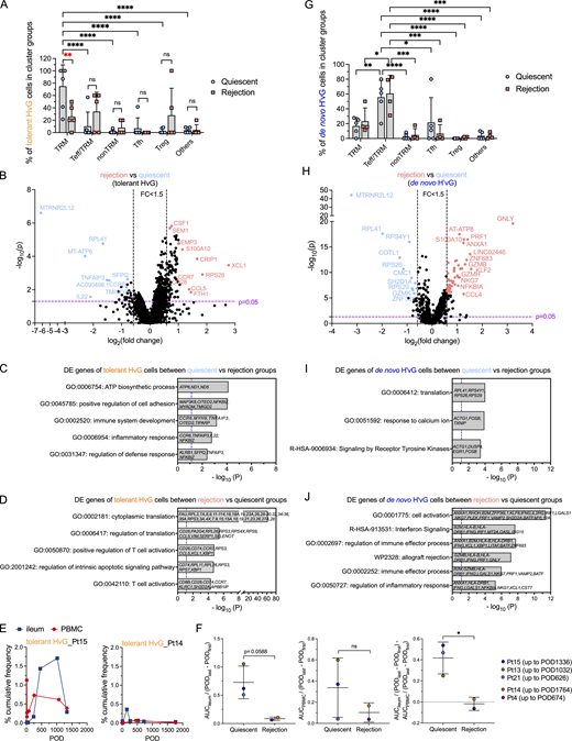 Transcriptomic profiling of tolerant HvG and de novo H’vG cells in quiescent versus rejecting ileal grafts. (A and G) Fractions of tolerant HvG (A) and de novo H’vG (G) cells detectable in TRM, Teff/TRM, nonTRM, Tfh, Treg, or other clusters within each sample in quiescent (n = 6) and rejection (n = 5) groups. Two-way ANOVA followed by Tukey’s multiple comparisons test was performed to determine statistical significance (*P < 0.05, **P < 0.01, ***P < 0.05, ****P < 0.0001, ns: not significant). (B and H) Volcano plot of DE gene analysis among tolerant HvG (B) and de novo H’vG (H) cells in rejection (n = 5) versus quiescent (n = 6) groups. P < 0.05 and fold change >1.5 were applied in each direction to identify DE genes for downstream GO term analysis. (C, D, I, and J) GO term analysis identified up to five top non-redundant T cell–relevant biological processes that contributed by DE genes when comparing quiescent versus rejection groups among tolerant HvG (C) and de novo H’vG (I) cells. GO term analysis identified up to six top nonredundant T cell–relevant biological processes that contributed to DE genes when comparing rejection versus quiescent groups among tolerant HvG (D) and de novo H’vG (J) cells. P < 0.05 (−log10 P > 1.122) is considered to be statistically significant, where −log10 P = 1.122 were labeled by blue dashed vertical lines in both plots. (E) Cumulative frequencies of tolerant HvG clones in post-Tx ileum and PBMCs are shown in two representative patients: Pt15 (quiescent group) and Pt14 (rejection group). (F) Normalized area under curve (AUC) values by POD of above tracking plots of tolerant HvG clones in ileum (left panel), PBMCs (middle panel), and ileum versus PBMCs (right panel) were calculated for quiescent (n = 3) and rejecting (n = 2) groups, respectively: AUCileum/(PODlast – PODfirst), AUCPBMC/(PODlast – PODfirst), and AUCileum/(PODlast – PODfirst) − AUCPBMC/(PODlast – PODfirst). Unpaired Student’s t test was performed to determine statistical significance (*P < 0.05). See Table S7 for sequence counts and cell counts. Refer to the image caption for details.