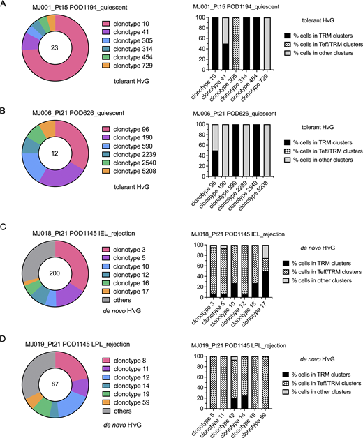 Clonal distribution of tolerant HvG and putative de novo H’vG cells. (A–D) Clonotype distribution of tolerant HvG cells in MJ001_Pt15 POD1194_quiescent (A) and MJ006_Pt21 POD626_quiescent (B) samples, and of putative de novo H’vG cells in MJ018_Pt21 POD1145 IEL_rejection (C) and MJ019_Pt21 POD1145 LPL_rejection (D) samples. Total number of cells in designated categories (tolerant HvG or de novo H’vG) is labeled in the center of the pie chart in the left panels. For the top six clonotypes within each sample, percentages of cells in TRM clusters, Teff/TRM clusters, and other clusters (including Tfh) are shown in the right panels. For tolerant HvG cells in MJ006_Pt21 POD626_quiescent sample, the percentage of cells in other clusters is dominated by Tfh phenotypes. V and J genes and nucleotide sequences of the CDR3 region for TCRα (TRA) and TCRβ (TRB) chains are summarized in Table S8. Refer to the image caption for details.