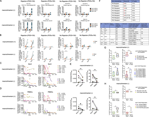Expansion and persistence of HvG clones in intestinal allografts and peripheral blood over time, and hyporesponsiveness to donor antigens among post-Tx recipient T cells in patients with or without macrochimerism. (A) Cumulative frequency as a percentage of HvG clones among recipient mappable clones in pre-Tx recipient spleen (SP) or lymph nodes (LN), and post-Tx blood and ileum biopsy (Bx) collected within the same time period in the presence or absence of early (POD < 100) or late (POD ≥ 100) rejection from representative patients with (Pts17, 19) and without (Pts4, 20) macrochimerism. (B) Cumulative frequency of HvG clones as a percentage of recipient mappable clones in post-Tx blood and ileum biopsy (Bx) collected within the same time period in the presence or absence of early (POD < 100) or late (POD ≥ 100) rejection from patients with and without macrochimerism (detailed information on patients and PODs is shown in Table S1). Paired t test was performed within CD4 or CD8 T cells (*P < 0.05). ACR: acute cellular rejection. Neg: negative for rejection. (C and D) Long-term follow-up of the persistence of HvG clones identified in early rejecting ileal biopsies and the dynamic changes of their cumulative frequency (left panels) and clone fraction (right panels) in ileal allograft (C) and PBMCs (D) post-Tx up to POD2000 in patients with (n = 6) and without (n = 4) macrochimerism. Number of unique HvG clones identified in early rejecting ileal biopsies in each patient is shown next to the symbol legends: MVTx (in circles), LITx (in squares), and iITx (in triangles). (E) For the cumulative frequency (freq) plot and clone fraction (frac) plot mentioned above, AUC normalized by days of measurement (PODlast – PODfirst) was calculated for paired ileum and PBMC samples from patients with (upper panel, n = 6) and without (lower panel, n = 4) macrochimerism. Paired t test was performed and P < 0.05 was considered statistically significant (*P < 0.05). (F) Upper panel: Degree of HLA-mismatching of alleles of HLA-A, B, C, DR, DQ between each recipient (Pts4, 7, 13, 14, 15, 16′, 16″, 21) with their donor or third party. Lower panel: Type of Tx, status of macrochimerism (peak level of donor T cell chimerism in blood ≥4%), date of sampling of responder cells in post-Tx MLRs, including those sent for bulk TCRβ sequencing, and histologically determined levels of ACR in ileal allografts within a 1-wk period. (G) For patients with macrochimerism: Upper panel (n = 3): Summary of % CFSElow (i.e., dividing cells) recipient CD4 and CD8 T cells in pre-Tx MLRs using pre-Tx recipient splenocytes or lymph node cells as responders against irradiated stimulators (donor or third party antigens). Lower panel (n = 7): Summary of % CFSElow recipient CD4 and CD8 T cells in post-Tx MLRs using post-Tx PBMCs as responders against irradiated stimulators (donor or third party antigens). (H) For patients without macrochimerism: Upper panel (n = 2): Summary of % CFSElow recipient CD4 and CD8 T cells in pre-Tx MLRs using pre-Tx recipient lymph node cells as responders against irradiated stimulators (donor or third party antigens). Lower panel (n = 3): Summary of % CFSElow recipient CD4 and CD8 T cells in post-Tx MLRs using post-Tx PBMCs or splenocytes as responders against irradiated stimulators (donor or third party antigens). Pt16′: First Tx of Pt16; Pt16″: Second Tx of Pt16. Student’s t test was used to compare paired data as indicated (*P < 0.05; ns: not significant). Refer to the image caption for details.