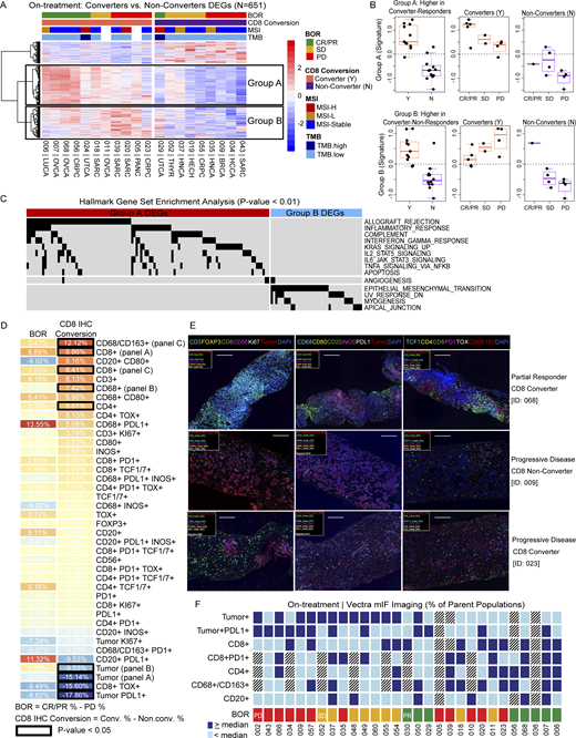 On-treatment inflammatory TME and higher frequencies of circulating activated and proliferating T cells in responders. (A) Heatmap of patients sorted by conversion then response with expression of the DEGs identified by comparing on-treatment tumor samples from CD8 converters to non-converters. Unsupervised clustering revealed three distinct signatures, including genes higher in responders who were CD8 converters (Group A) and genes higher in non-responders who were CD8 converters (Group B). The complete list of genes displayed in this figure is available as Table S15. (B) Box plots of Group A and Group B gene signatures by best overall response (BOR) and CD8 conversion (Y = converter, N = non-converter). (C) GSEA pathways enriched in Groups A and B. (D) Heatmap displaying mean differences in cell populations detected by mIF imaging (Vectra) of on-treatment tumor samples, comparisons done by BOR: CR/PR (%, n = 7) − PD (%, n = 12) and CD8 conversion: converter (%, n = 10) − non-converter (%, n = 21) by the student’s T test; significantly different populations are denoted by a black outline. Markers featured in multiple panels are denoted with the respective panel label. (E) Representative ROI images at 200× final magnification from three patients with on-treatment tumor biopsies from three mIF panels; left: panel A, middle: panel B, right: panel C (scale bar, 200 μm). (F) Selected mIF imaging results show the combination of cell types that are present (≥ median), absent (< median), or not evaluable (grey) for each patient with on-treatment mIF data. Box plots show median and quartiles, and whiskers represent 1.5 times the IQR. Tumor-type abbreviations are defined in Table 1. Refer to the image caption for details.