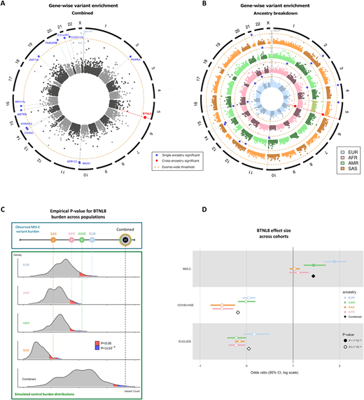 Schematic of novel genetic burden testing method. (A) The top part of the flowchart represents the cohort-specific analysis steps, including ancestry assignment and variant aggregation. (B) The bottom part of the flowchart represents the Monte Carlo simulations of control datasets using population-level AFs from public databases. Stringent quality control and variant filtering is performed both at the cohort and the database level. Variants that don’t pass the criteria in either dataset are automatically excluded from all downstream analyses. (C) The cohort-specific results are compared to the empirical burden distribution to estimate statistical significance. (D) PCA plot that depicts the inferred ancestry of all samples in the MIS-C burden analysis.