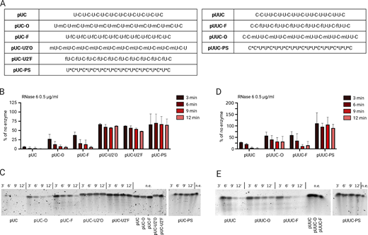 Figure 3. Refer to the image caption for details.