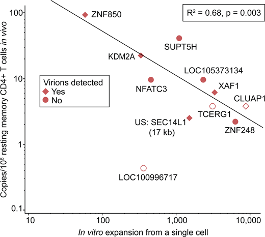 Relationship between in vivo clone size and in vitro proliferation. The in vivo frequency of each of the indicated clones of infected CD4+ T cells compared with its in vitro expansion starting from a single cell. Mean in vitro expansion is plotted for clones encountered in multiple microculture wells (see Table S5). Each data point represents an infected cell clone labeled with its proviral integration site. Symbol shape denotes the detection of HIV-1 virions in vitro. Empty symbols represent clones not detected in vivo and are plotted at 50% of the LOD, which was unique to each clone and proportional to the number of cell equivalents screened (see Table S5 and Materials and methods). Note that outlier LOC100996717 was excluded from the statistical analysis. US indicates the integration site was upstream of the indicated gene by the indicated distance.