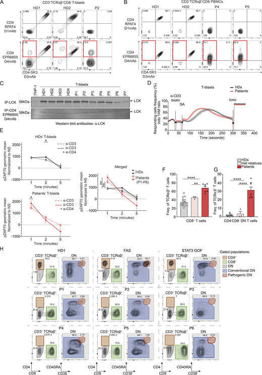 Characterization of the T cell compartment in patients with CD4 deficiency. (A) Flow cytometry following extracellular staining of T-blasts from two healthy donors (HDs) and P2. Cells were gated as follows: CD20−CD3+TCRγδ−TCRαβ+CD8−. Y axis represents (top) CD4 D1mAb (RPAT4) or (bottom) CD4 D4mAb (EPR6855). X axis represents CD4 D3mAb (SK3). Red gate represents the cell population expressing isoform 2 only. (B) Flow cytometry following extracellular staining of PBMCs from two HDs, P4, and P5. Cells were gated as follows: CD20−CD3+TCRγδ−TCRαβ+CD8−. Y axis represents (top) CD4 D1mAb (RPAT4) or (bottom) CD4 D4 mAb (EPR6855). X axis represents CD4 D3mAb (SK3). Red gate represents the CD4 D4mAb single positive cell population. (C) Immunoblots with LCK and GAPDH. Top: direct-IP with LCK; bottom: LCK co-IP with CD4 D4mAb (EPR6855). Experiments were conducted in THP1, T-blasts from four healthy donors (HD1–HD4) and patients (P1–P7). (D) Calcium flux mobilization in T-blasts from HDs (black, n = 7) and patients (red, P1–P6) upon TCR activation assessed by flow cytometry. Y axis represents the frequency of responding cells (ratio indo 1AM). X axis represents the time of acquisition. Arrows represent stimulation. SA: streptavidin; Iono: ionomycin. Each data point represents an average of 3 s. (E) ZAP70 phosphorylation after crosslink. Rested T-blasts from HDs (n = 8, black) and patients (P1–P6, red), incubated in the absence or presence of either biotinylated CD3 (OKT3) alone (plain line) or CD3 (OKT3) with CD4 (D4mAb) (dotted line), and crosslinked with streptavidin for 1, 2, and 5 min. The geometric mean of ZAP70 phosphorylation was assessed by flowcytometry. Y axis: geometric mean of ZAP70 phosphorylation upon stimulation normalized by non-stimulated condition; x axis: time of stimulation (streptavidin only). Statistical analysis by one-tailed parametric paired Student’s t test. *P < 0.05; **P < 0.01. (F) CD3+TCRαβ+ CD8− and CD8+ T cell frequencies in HDs (n = 18), heterozygous relatives (n = 3), and patients (P1–P6). (G) CD3+TCRαβ+CD8−CD4− (CD4 D3mAB) DN T cell frequencies in HDs (n = 18), heterozygous relatives (n = 3), and patients (P1–P6). (F and G) Statistical analysis by one-way ANOVA with multiple comparisons (Tukey). **P < 0.01; ****P < 0.0001. (H) CD38 and CD45 staining defining CD3+TCRαβ+ conventional DN (CD38−CD45+/− blue gate) and pathogenic (CD38−CD45+/−, red gate) cell frequencies in one representative HD, FAS-deficient patient, STAT3 GOF, and CD4 patients with CD4 mutations (P1–P6). Brown gates represent total CD4+ T cells, green gates represent total CD8+ T cells, gray gates represent total DN cells. Data are representative of at least two independent experiments. Source data are available for this figure: SourceData F3.