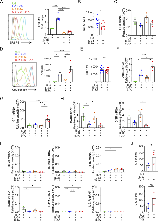 IL-33 and TL1A induce phenotypic changes in cultured lung ILC2s at the protein and mRNA levels. (A–J) Analysis of mouse lung ILC2s 14 h after ex vivo stimulation by rIL-2 ± rIL-33 ± rTL1A. MFI of the indicated cell surface markers determined by flow cytometry (A, B, D, and E). Relative mRNA expression levels of various genes (C and F–I), including genes characteristic of ILC1s or ILC3s (I), determined by real-time qPCR, 14 h after cytokine stimulation of lung ILC2s. Samples were normalized to the expression of HPRT and data are expressed as relative to HPRT mRNA quantity. Concentration of IL-5 or IL-13 in cell supernatants, measured by ELISA assay (J). Each symbol represents an individual biological replicate from independent experiments (A–J). Data are expressed as mean (±SEM) with P values determined by unpaired two-tailed Student’s t test (B, E, and J) or one-way ANOVA followed by Tukey’s multiple-comparisons test (A, C, D, and F–I): ns, not significant, * P < 0.05, ** P < 0.01, *** P < 0.001. In I, all significant P values are annotated with stars, all other comparisons are not significant.