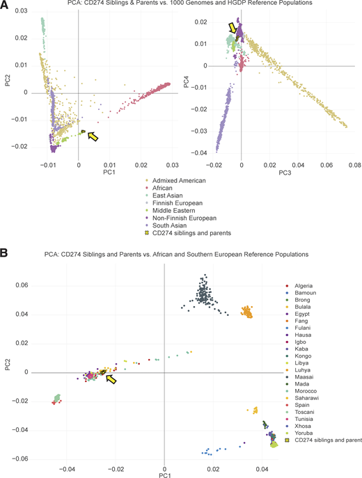 Genetic analysis of the two siblings with neonatal-onset type 1 diabetes. (A) Ancestry-level PCA. PC scores were computed from the Human Genome Diversity Project and 1,000 Genomes phase 3 global genomic reference population datasets (Auton et al., 2015; Bergström et al., 2020) and local WGS data for the two affected siblings and their healthy relatives. The PCA plot is colored according to the reported genetic ancestry group (for controls). Individuals from the family studied are represented as yellow crosses outlined in black. (B) Country-level analysis. The previously reported dataset (Henn et al., 2012) was used as a reference. The PCA plot is colored according to the reported country of origin (for controls). Individuals from the family studied are represented as yellow crosses outlined in black.