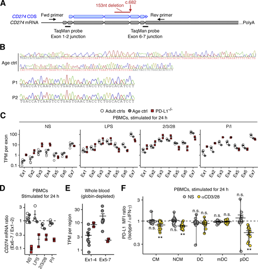 Analysis of CD274 mRNA in the patients’ leukocytes. (A) Schematic diagram of the design of RT-PCR primers and TaqMan probes. (B) RT-PCR on the CD274 CDS from total RNA extracted from PBMCs stimulated with LPS for 24 h. The 153nt deletion observed in bulk RNASeq data was confirmed by Sanger sequencing. (C) Bulk RNASeq for stimulated PBMCs. PBMCs from the two PD-L1-deficient siblings (aged 11 and 10 years), an age-matched control, and several healthy adult controls were either left unstimulated or were stimulated with LPS, anti-CD2/3/28 mAb cocktail, or PMA/ionomycin (P/I) for 24 h. Total RNA was used to prepare libraries for bulk RNASeq. TPM is shown for each CD274 exon. (D) Quantitative PCR on the cDNA derived from the total RNA extracted from the LPS-stimulated PBMCs analyzed in C. GUSB was used as an endogenous control. Ratios of results for two TaqMab probes, targeting the exon 1–2 or 6–7 junction, are shown. The non-stimulated conditions were analyzed twice (technical replicates). (E) Bulk RNASeq on whole-blood leukocytes. Freshly drawn venous blood samples from the two PD-L1-deficient siblings (aged 11 and 10 years) and age-matched controls were used for total RNA extraction. Globin-depleted total RNA was used for sequencing. TPMs per region (CD274 exons 1–4 and 5–7) are shown. (F) IFN-γ neutralization assay. PBMCs from healthy controls were either left non-stimulated or were stimulated with anti-CD3/CD28 mAb-conjugated beads for 24 h in the presence of anti-IFN-γ neutralizing mAb or its isotype control. PD-L1 levels were determined by flow cytometry with the 29E.2A3 clone. The fold-change decrease in PD-L1 MFI was calculated. In A–E, the experiments were performed once. In F, results from three experiments (six donors in total) with technical duplicates are compiled. The statistical significance of the difference between anti-IFN-γ and isotype control treatments was determined for each set of conditions in two-tailed Wilcoxon’s signed-rank tests with FDR adjustment. n.s., not significant. **, P < 0.01.