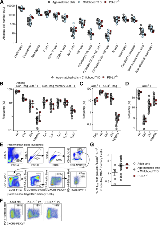 Immunophenotyping analysis of PD-L1-deficient leukocytes. Freshly drawn whole-blood leukocytes were analyzed by flow cytometry. (A) Absolute cell numbers were determined with Trucount Absolute Counting Tubes. (B–D) Frequencies of the given leukocyte subsets within each parental subset (indicated at the top of the plots). (E) Gating strategy for circulating TFH (cTFH) cells. (F) Representative plots for cTFH cells. (G) Percentage of cTFH cells. In A–D and G, bars represent the mean and SEM.