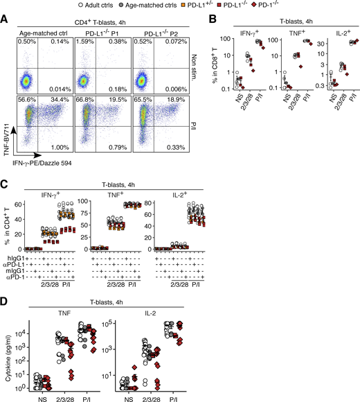 Analysis of the cellular responses of PD-1- and PD-L1-deficient T lymphocytes in vitro. T-blasts from healthy donors, a PD-1-deficient patient, and the PD-L1-deficient siblings and their heterozygous mother were either left non-stimulated or were stimulated with anti-CD2/CD3/CD28 mAb cocktail or PMA/ionomycin (P/I) for 4 h. (A–C) Intracellular cytokine levels were measured by flow cytometry. (D) Secreted cytokine levels were measured by multiplex ELISA. In B–D, bars represent the mean and SEM. In B, representative data from two experiments are shown. In C, the experiment was performed once. In D, data from three experiments with technical replicates for PD-1-deficient cells (14 replicates for N = 1) and PD-L1-deficient cells (duplicates for N = 2) are compiled.