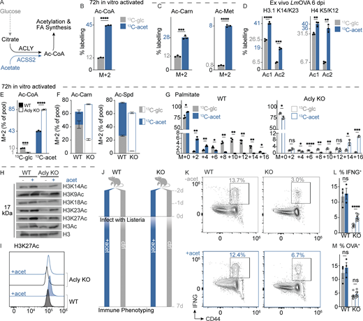 Figure 4. Refer to the image caption for details.