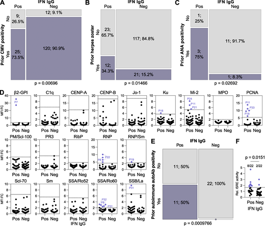 Prior infections and immune factors influence the development of anti-IFN-I autoAbs. (A–C) Mosaic plots comparing the SHCS recorded incidence of prior CMV positivity (A), prior herpes zoster diagnosis (B), or prior ANA test positivity (C) between patients who developed anti-IFN-I autoAbs and matched control patients who did not. In A and B, only patients with complete data for the indicated parameter were included (therefore n differs slightly from that in Table S3). In C, only patients who were tested are included. For all panels, n and % are shown. (D) Screening results for the presence of 19 different anti-autoantigen IgGs in plasma samples derived from anti-IFN-I autoAb positive (Pos) patients (n = 22 patients, with two independent samples tested per patient) and age-matched negative control (Neg) patients (n = 22 patients, with two independent samples tested per patient) who were confirmed to have never developed anti-IFN-I autoAbs. The two samples tested per patient were the two samples immediately preceding the first detection of anti-IFN-I autoAbs (for the positive patients; typically 6 and 12 mo before) or age-matched time points for the negative patients. MFI FC IgG values obtained from the indicated autoantigen-coated beads are shown relative to the MFI of IgG values obtained from empty beads normalized to the negative patient mean for each autoantigen. All patient samples are shown (circles). Patient plasmas exhibiting normalized MFI values >5 SDs above the mean MFIs obtained from the negative patient samples (dotted lines) were considered positive for the specific anti-autoantigen IgG and were colored and labeled. (E) Mosaic plot analysis of the data in D. (F) Average relative ISRE-driven luciferase (Luc) activity induced by the two plasma samples from each patient described in D (Pos, n = 22; Neg, n = 22). For A and B, statistical analyses were performed using conditional-logistic regression (taking into account the matched nature of the data) and likelihood-ratio tests; for C, statistical analysis was performed using Fisher’s exact test for count data (as the routine ANA data were not available for matched pairs of cases and controls); and for E, statistical analysis was performed using the exact McNemar test (as this takes into account both the paired nature of the data and the absence of events in one group). For F, statistical analysis was performed using a Mann–Whitney U test. Exact P values are indicated in the appropriate panel. Refer to the image caption for details.
