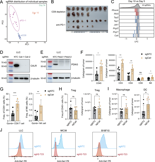 Figure S1. Refer to the image caption for details.