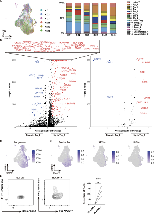 Proportion of each sample in CITE-seq and RNA and protein expression of TRM_2. (A) UMAP (left) and bar chart (right) showing the proportion of each sample (CD: CD Patient 1–3; Control: Ctrl-Patient 1–3 in Table S1). (B) Volcano plot depicting differentially expressed genes (left) and proteins (right) in the TRM_2 cluster. (C) Single-cell GSEA using gene sets from activated CD4+ TRM in published dataset (GSE126030). (D) Reference mapping using scRNA-seq data from prior dataset (GSE218000) showing TRM from control (left), CD (center), and ulcerative colitis (UC) (right). (E) Flow cytometry comparison of IFN-γ expression in HLA-DR–negative (HLA-DR−) and HLA-DR–positive (HLA-DR+) cells among CD3+ CD4+ CD103+ T cells from CD patients. n = 3 per group. Statistical significance for the comparisons was determined using a paired t test. *P < 0.05. UC, ulcerative colitis. Refer to the image caption for details.
