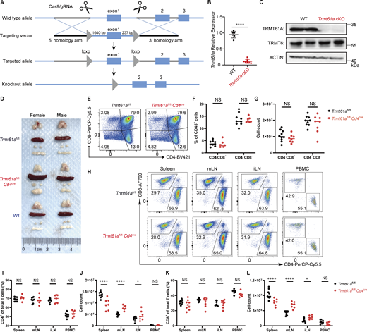 Figure S1. Refer to the image caption for details.