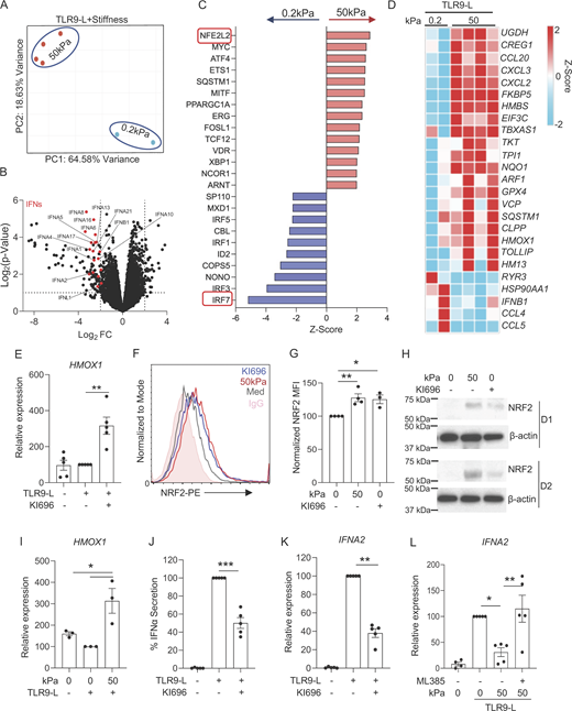 Figure 2. Refer to the image caption for details.