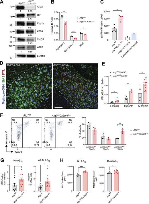 Figure 4. Refer to the image caption for details.