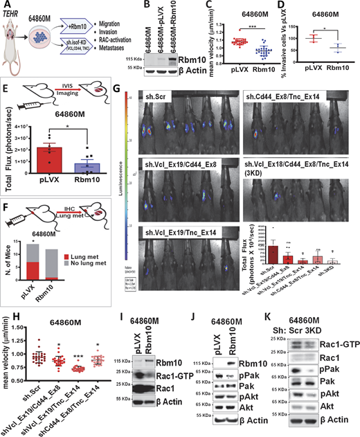 Figure 4. Refer to the image caption for details.