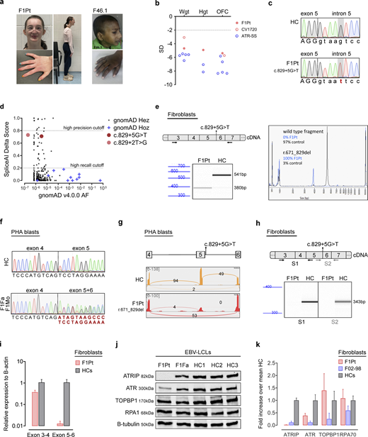 Figure S1. Refer to the image caption for details.