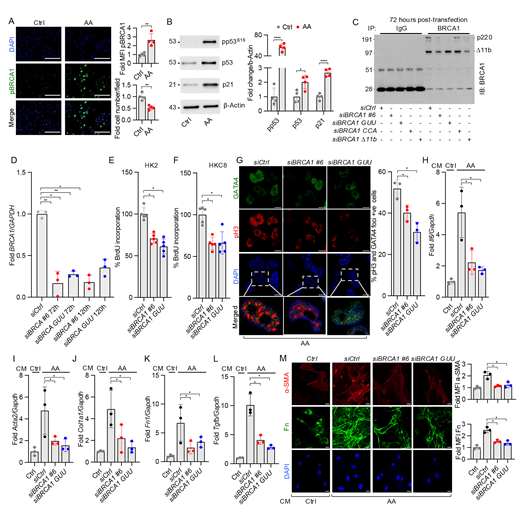 Figure 5. Refer to the image caption for details.