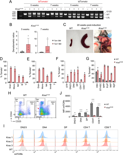 Figure S1. Refer to the image caption for details.