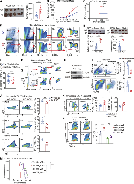 Figure S2. Refer to the image caption for details.