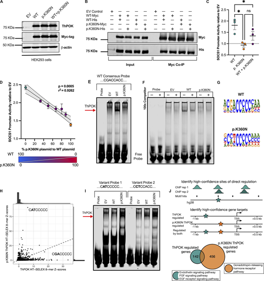 Figure 2. Refer to the image caption for details.