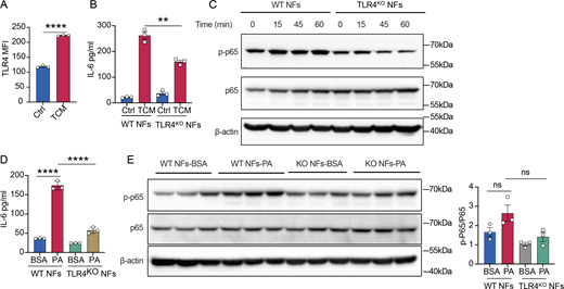 Figure 5. Refer to the image caption for details.